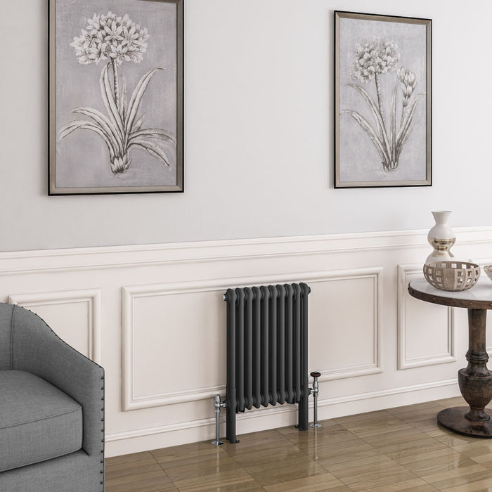 Eastbrook Imperia 2 Column Matt Anthracite Traditional Radiator