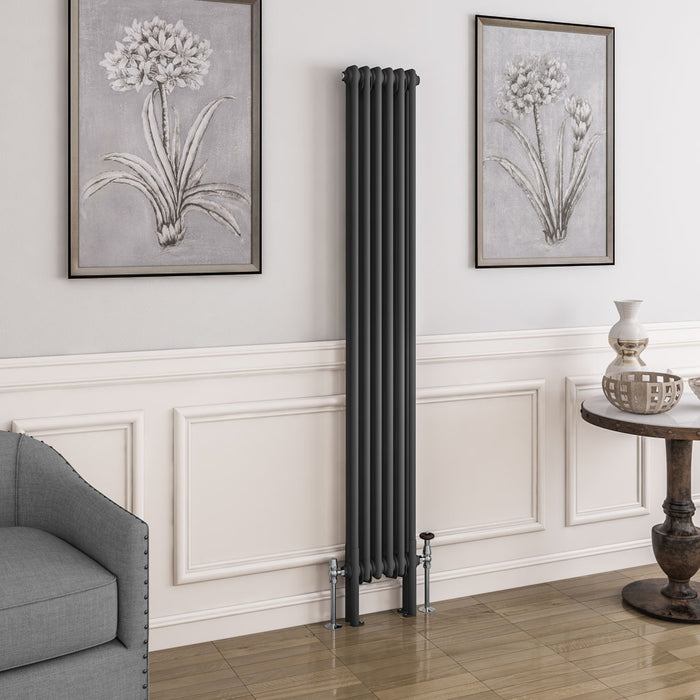 Eastbrook Imperia 2 Column Matt Anthracite Traditional Radiator