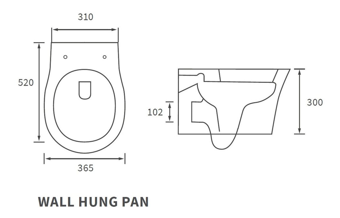 Sandro Rimless Wall Hung Toilet - DIPTP0282